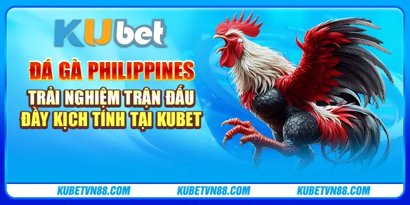 Đá gà Philippines – Trải nghiệm trận đấu đầy kịch tính tại Kubet