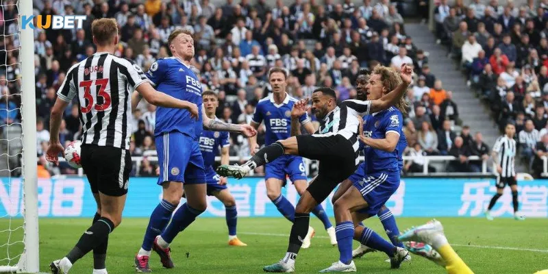 Đội hình và chiến thuật dự kiến của Leicester vs Newcastle